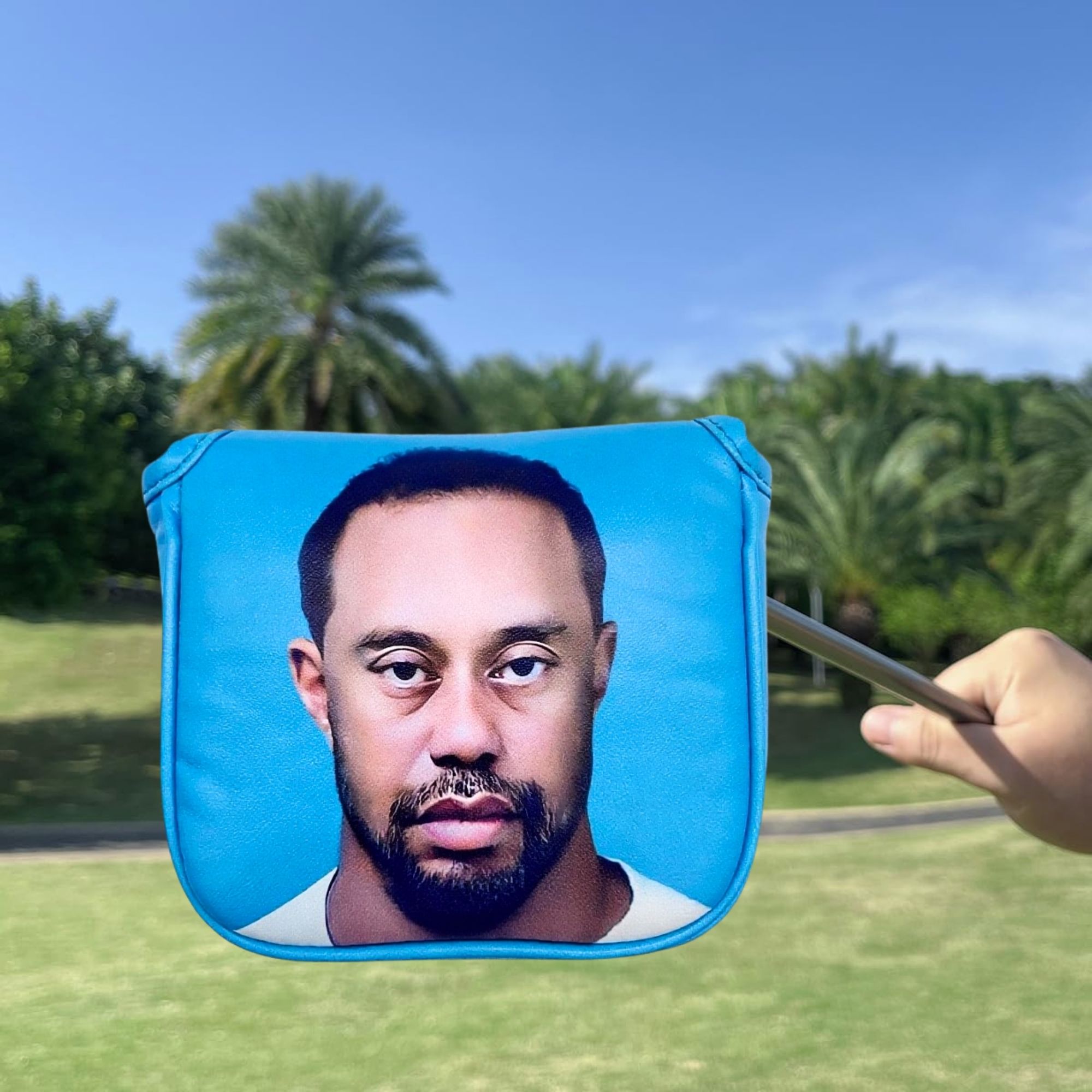 Funny Golf Mallet Putter Head  - Men Accessories Gift 评论和价格